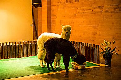 拉瑞安工作室的新作可能要等到2029年